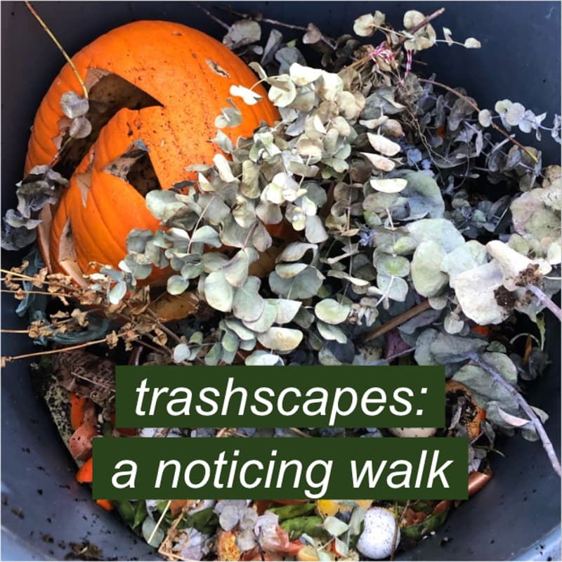 Cover Image for trashscapes: a noticing (and photo) walk