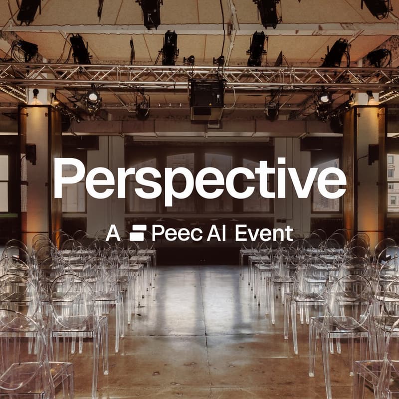 Cover Image for Peec AI: Perspective