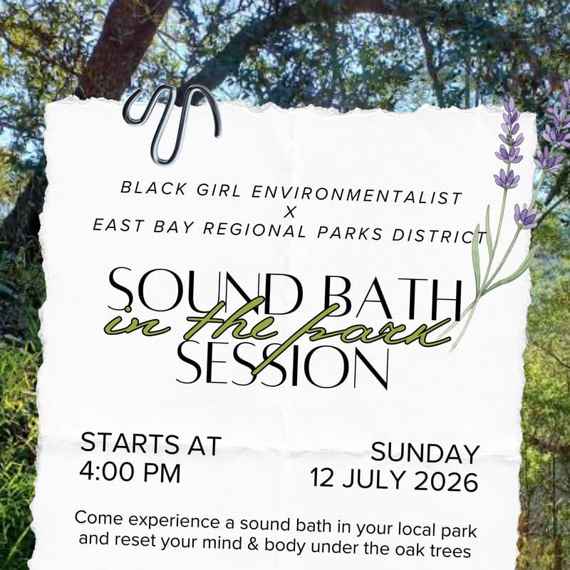 Cover Image for Sound Bath in the Park