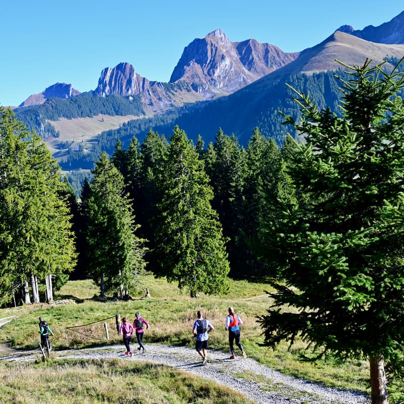 Cover Image for Trail & Brunch Gurnigel