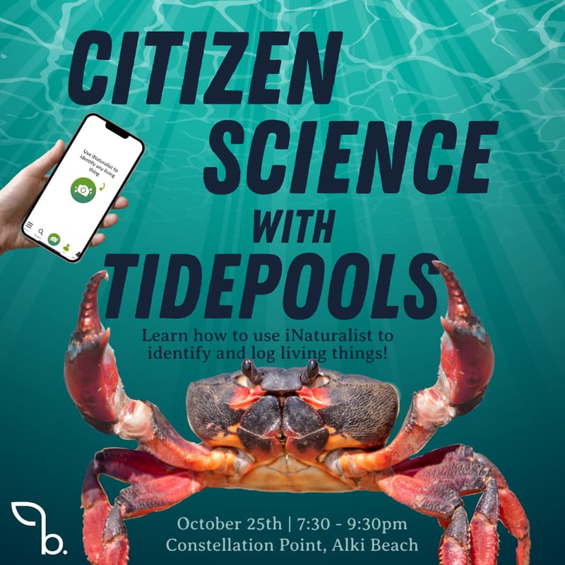 Cover Image for Basilica Bio Beach Night: Puget Sound Citizen Science