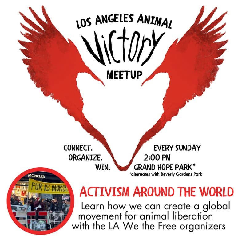 Cover Image for Activism Around the World - LA Animal Victory Meetup