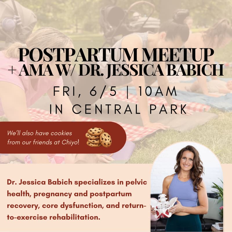 Cover Image for Postpartum Meetup: Core, Pelvic Floor, & Return to Exercise w/ Dr. Jessica Babich