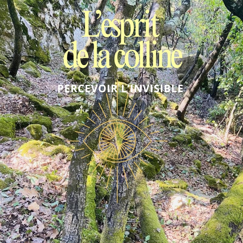 Cover Image for L'Esprit de la Colline