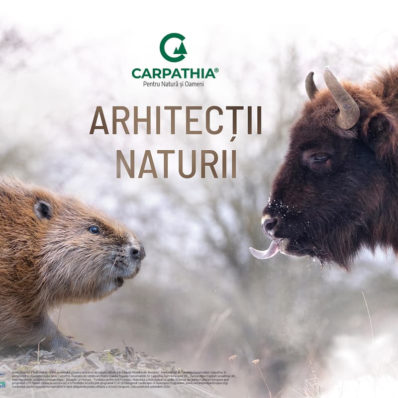 Cover Image for Arhitecții Naturii | Proiecție gratuită la OCC | 17 octombrie