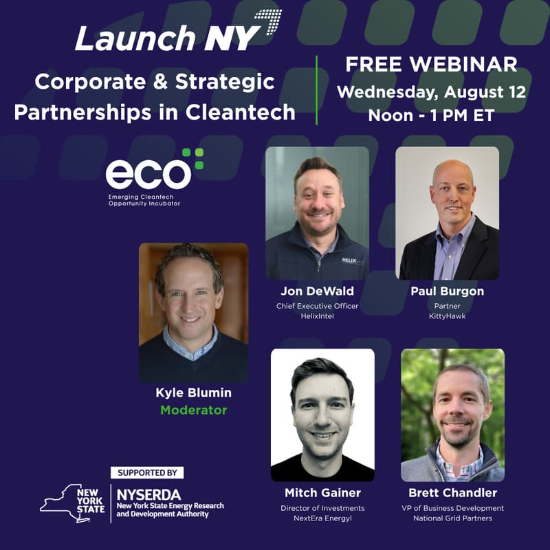 Cover Image for Corporate & Strategic Partnerships in Cleantech
