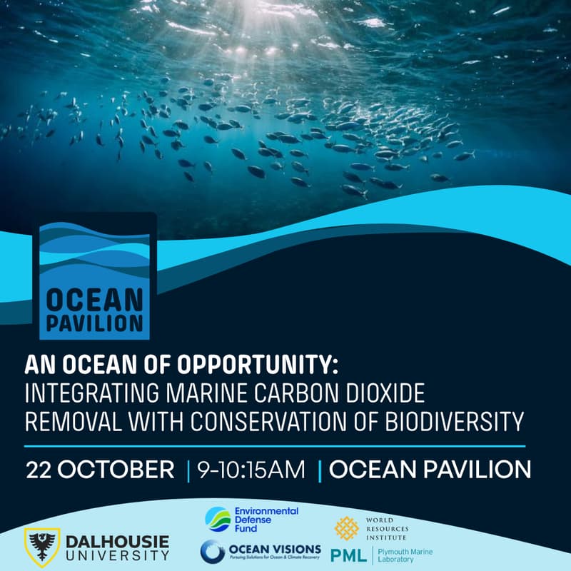 Cover Image for An ocean of opportunity: integrating marine carbon dioxide removal with conservation of biodiversity