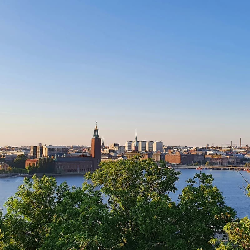 Cover Image for Building in Digital Health: Fika Walk and Talk