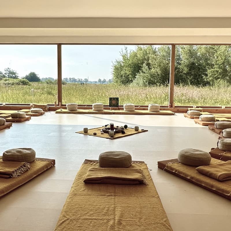 Cover Image for Ground Health: What happens on a psychedelic retreat?