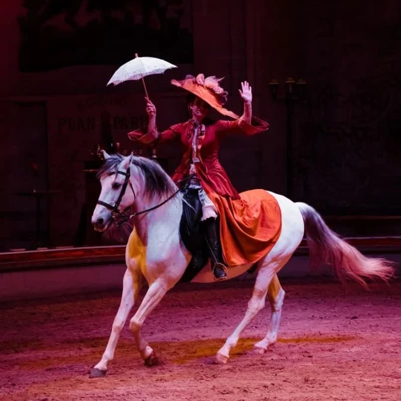 Cover Image for Equestrian Show inside the Great Stables