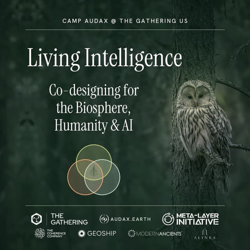 Cover Image for Living Intelligence: Co-designing for the Biosphere, Humanity & AI