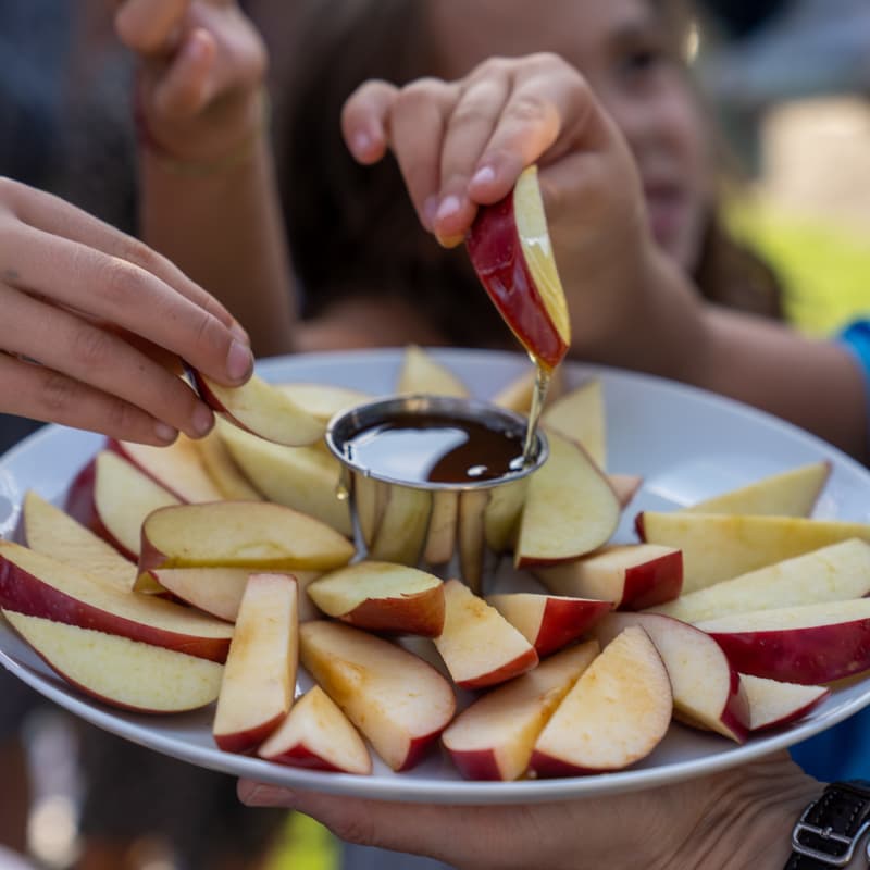 Cover Image for Magnificent SuperHumans: Rosh HaShanah Day and Tashlich