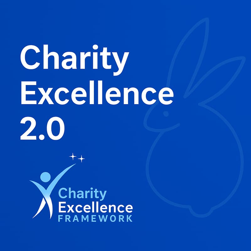 Cover Image for Charity Excellence 2.0: A Radical Re-imagination of Charity Sector Support