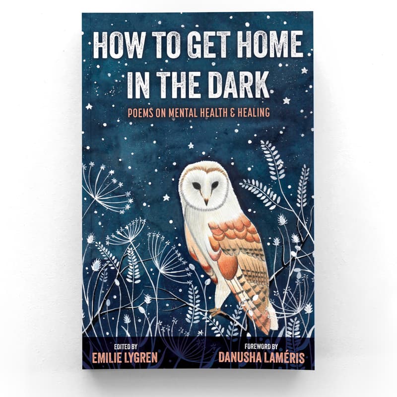 Cover Image for "How to Get Home in the Dark" Poetry Anthology Reading and Generative Workshop