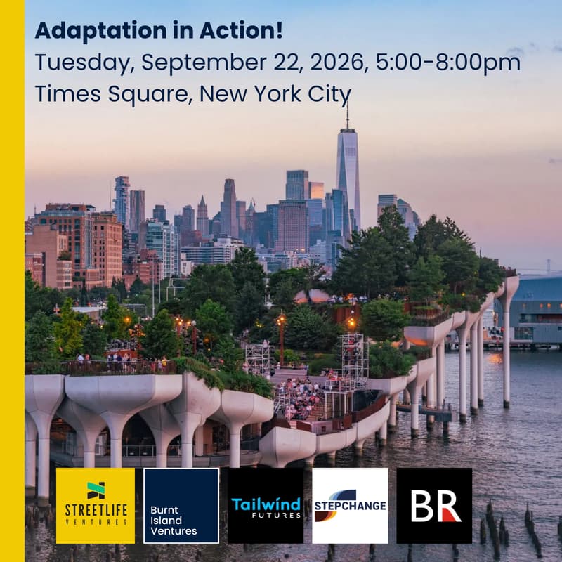 Cover Image for Adaptation in Action!