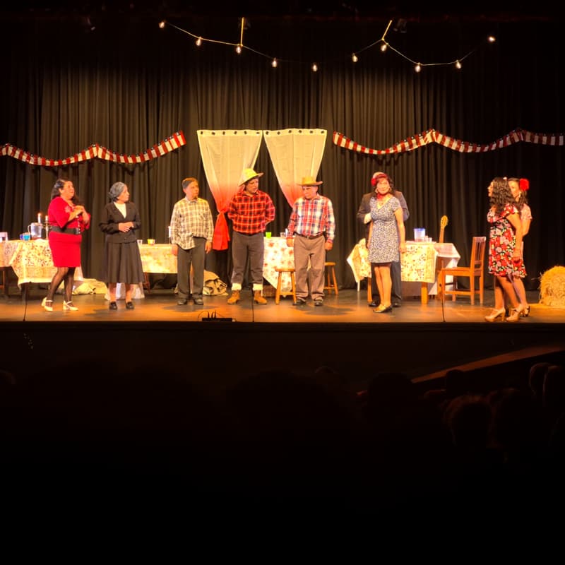 Cover Image for Chile en escena: La Remolienda