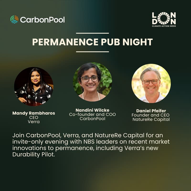 Cover Image for Permanence Pub Night