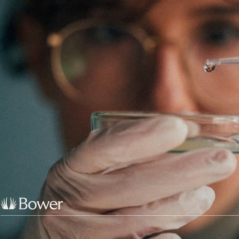 Cover Image for AI at the Bench: See Bower in Action