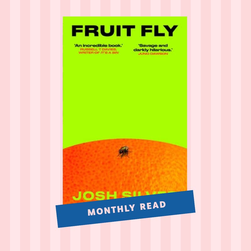 Cover Image for Fruit Fly by Josh Silver