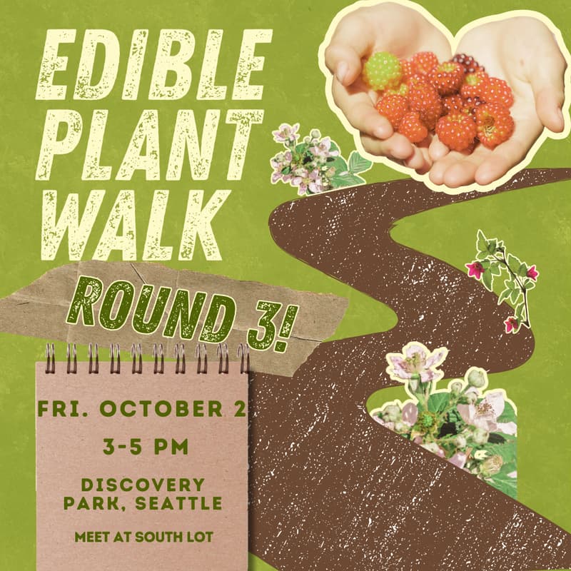 Cover Image for Edible Plant Walk