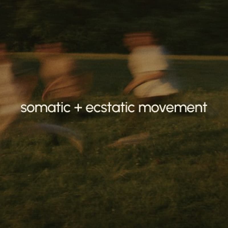Cover Image for somatic + ecstatic movement pt. 2