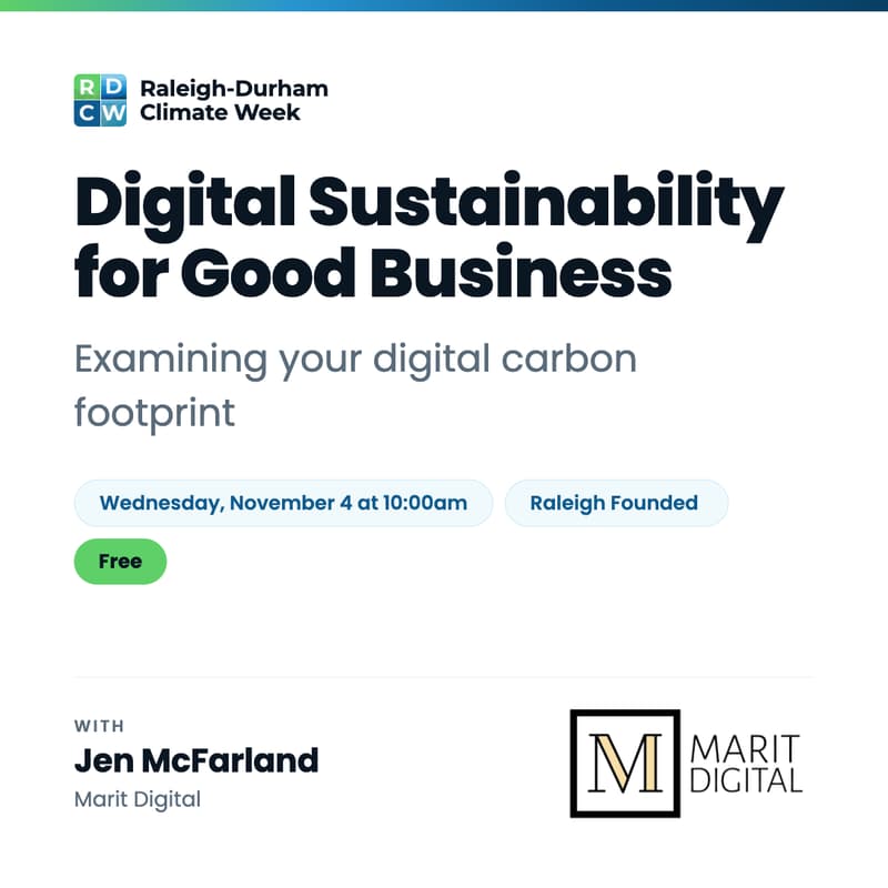 Cover Image for Digital Sustainability for Good Business