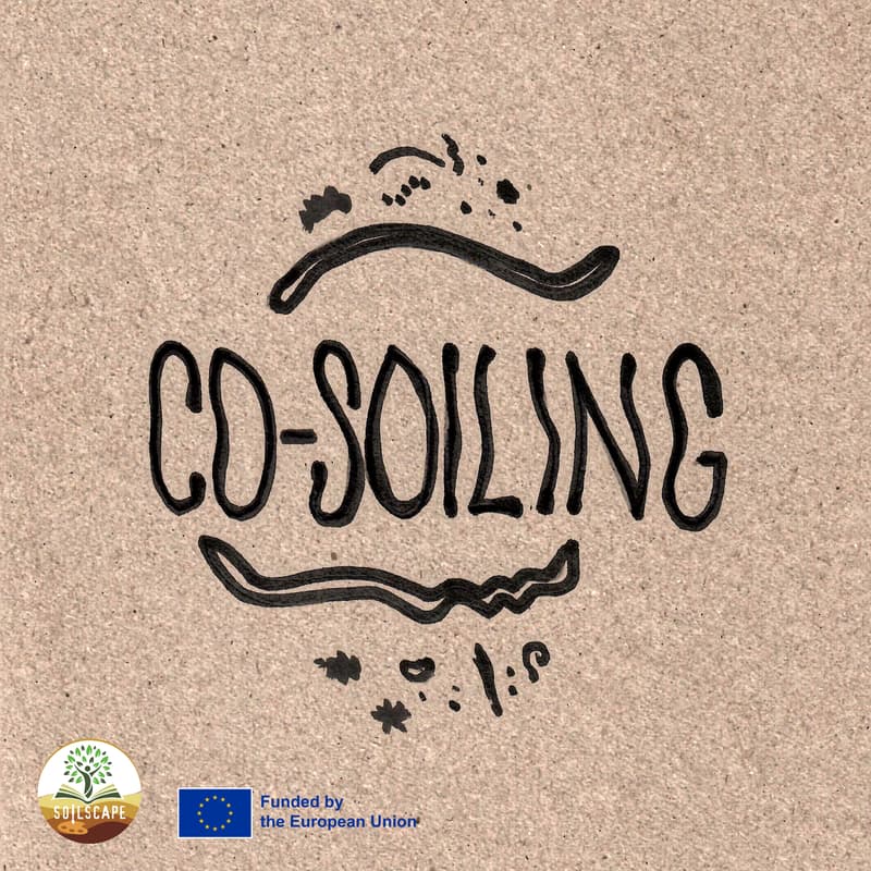 Cover Image for Co-soiling workshop