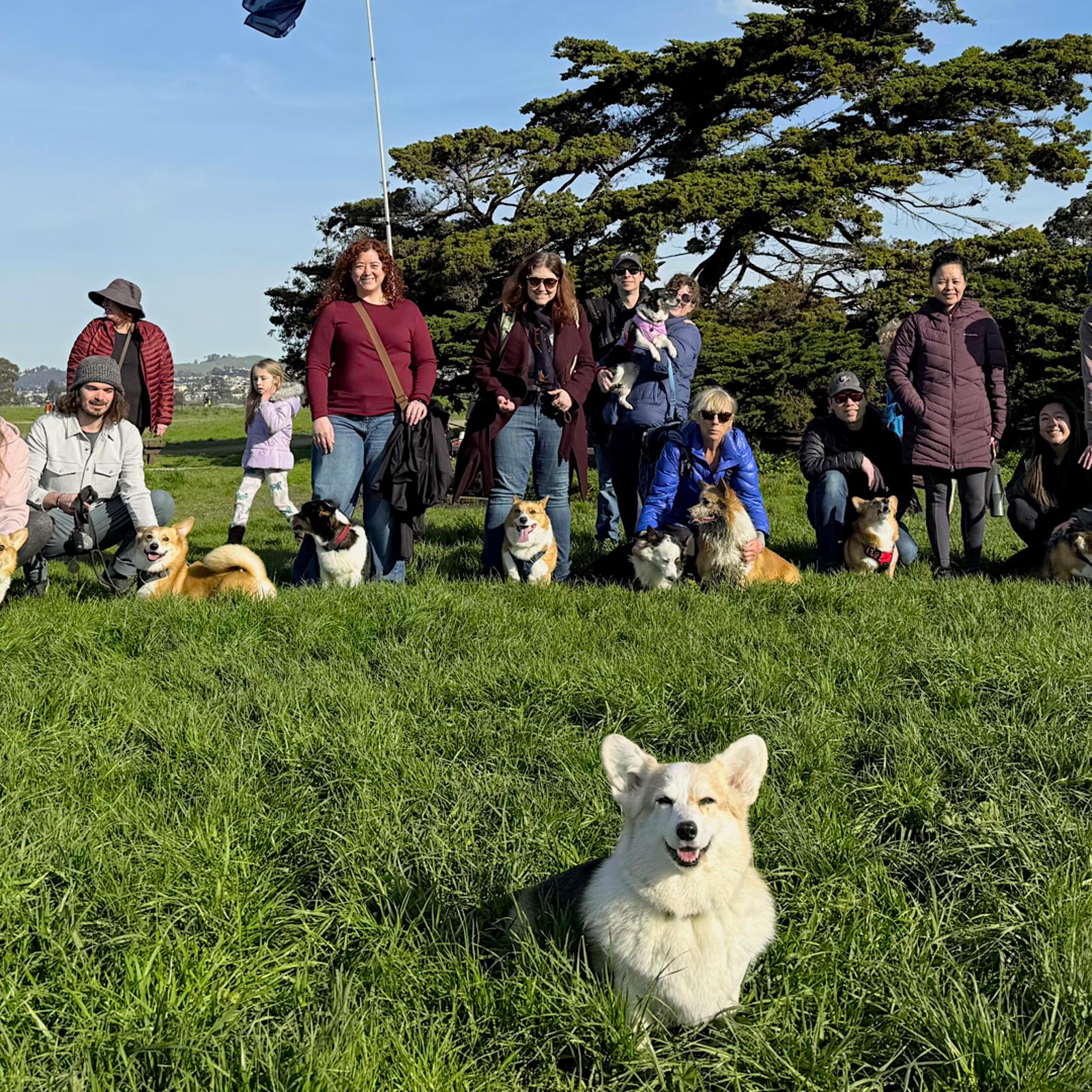 Point Isabel November Corgi Meetup at Point Isabel Dog Park