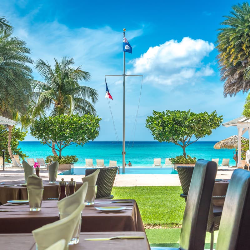 Meet and Greet with Cayman Enterprise City and Founders · Luma