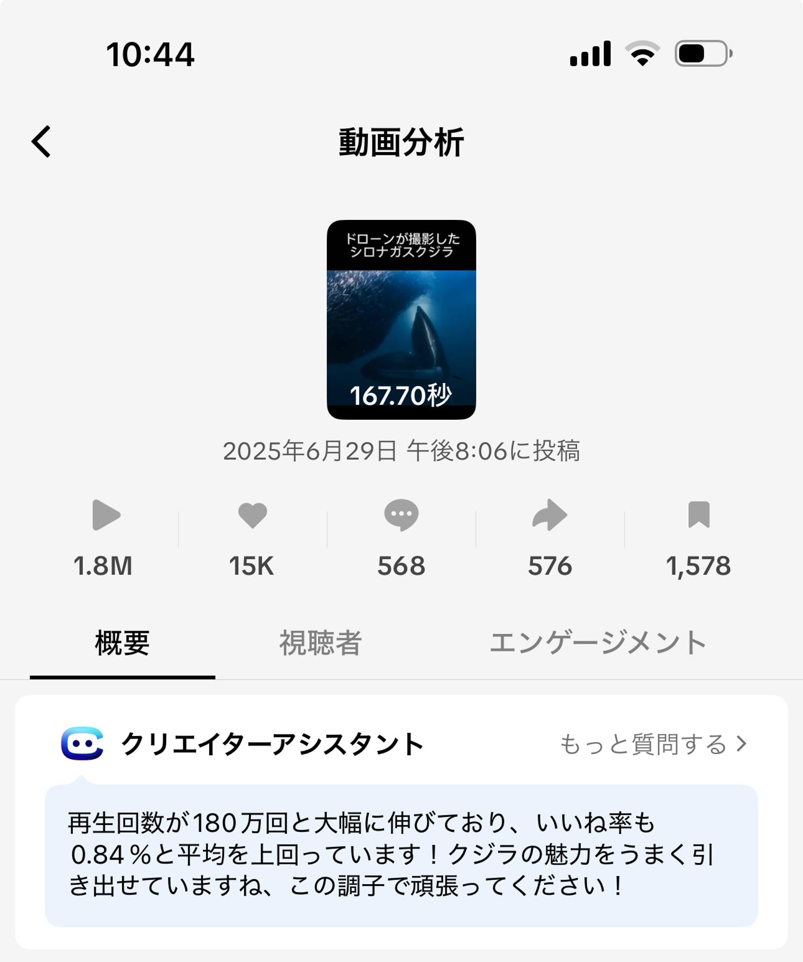ユーザーがアップロードした画像