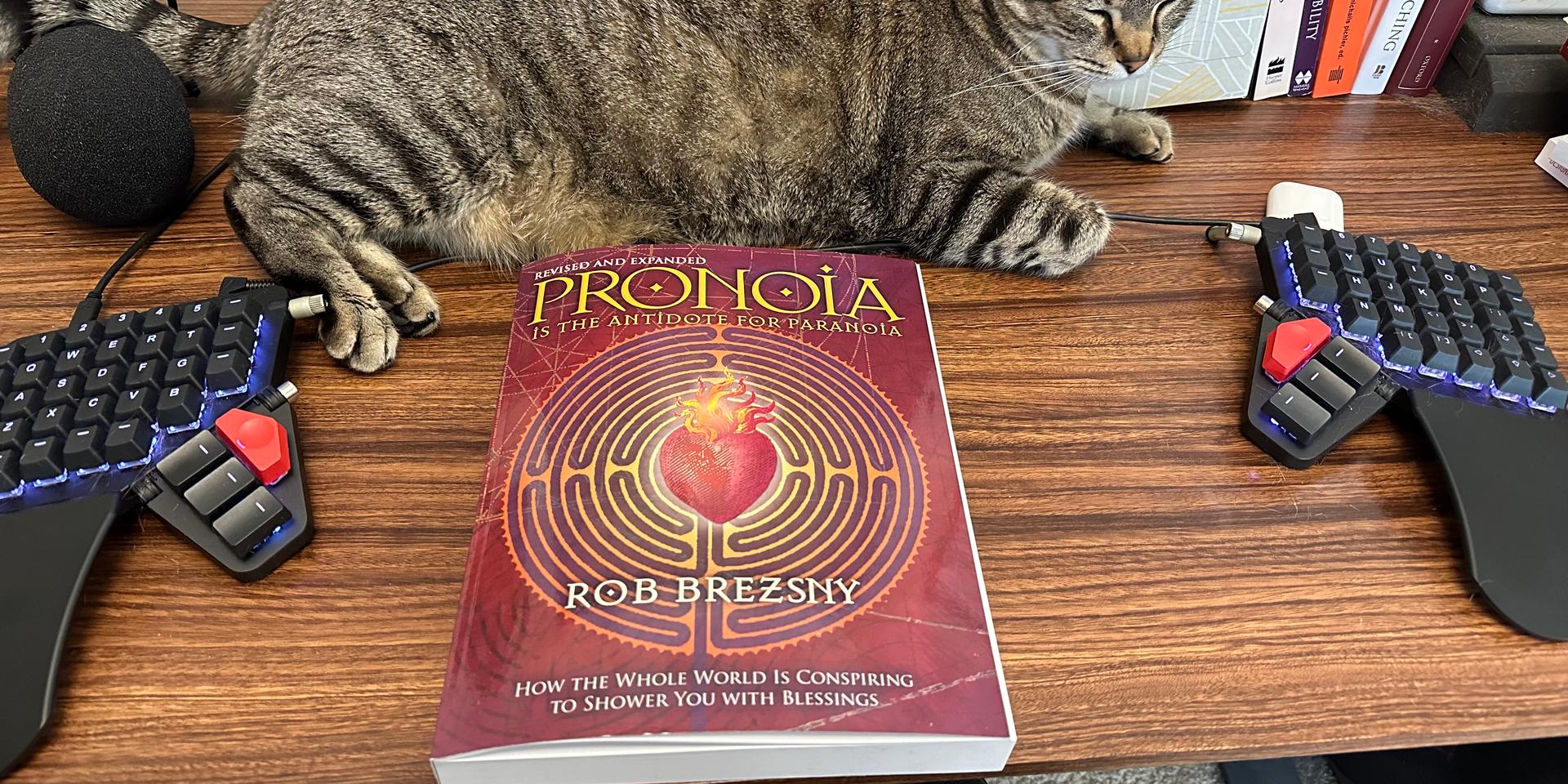 Cover Image for Michelle & Rob's Pronoia Book Club Jamboree Fun Time