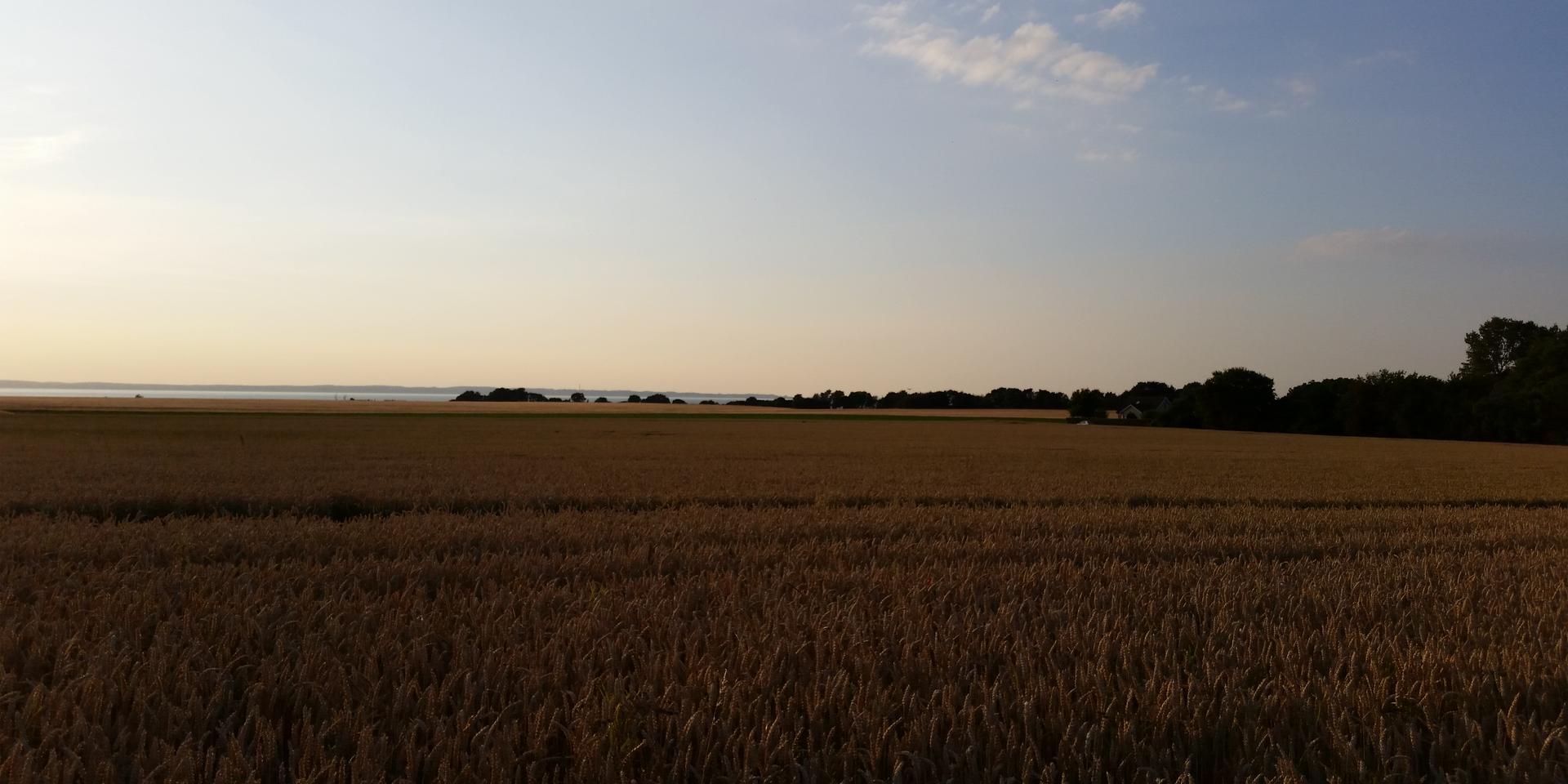 Cover Image for Guitar Retreat at the Island Of Ven (Sweden)