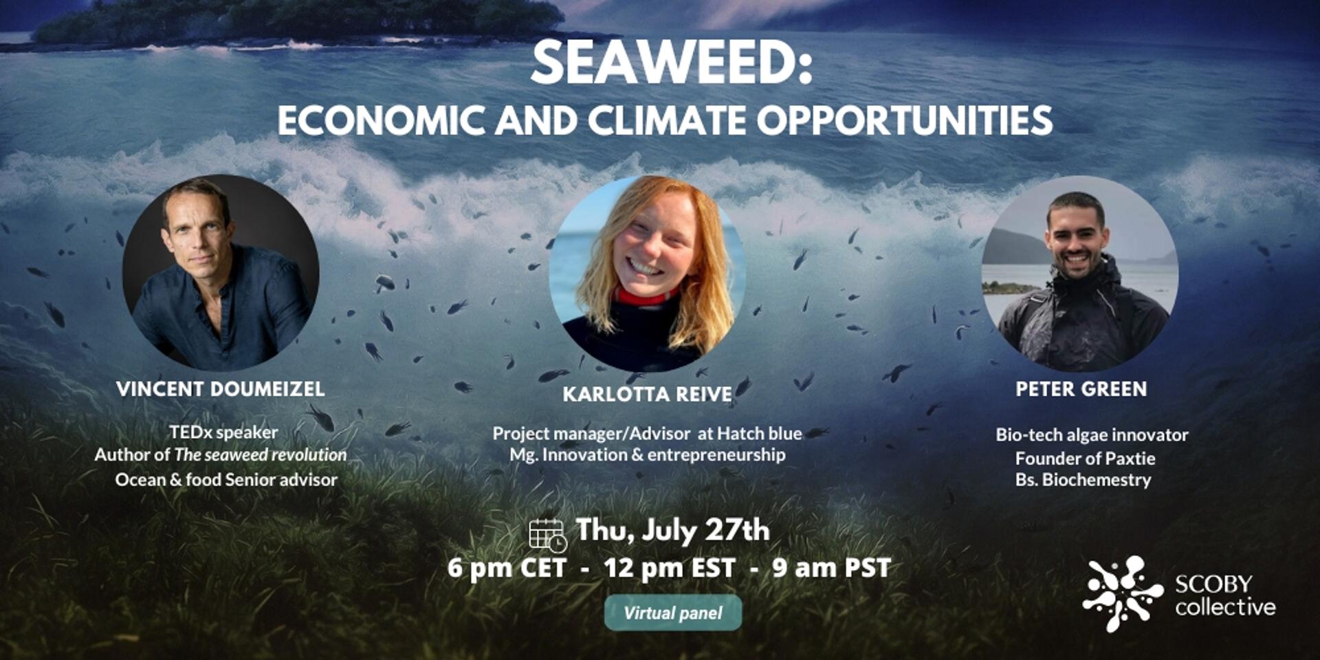 Cover Image for Seaweed, Economic and Climate opportunities