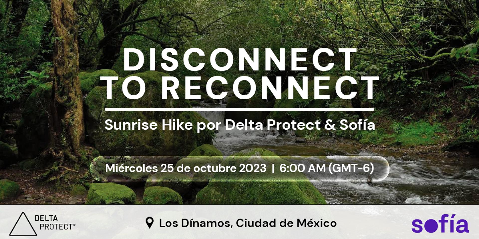 Cover Image for Disconnect to Reconnect | Sunrise Hike by Delta Protect & Sofía