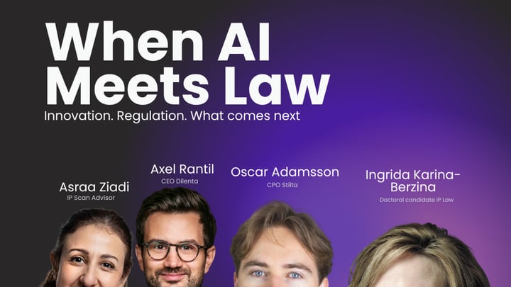 Expert panel: When AI Meets Law