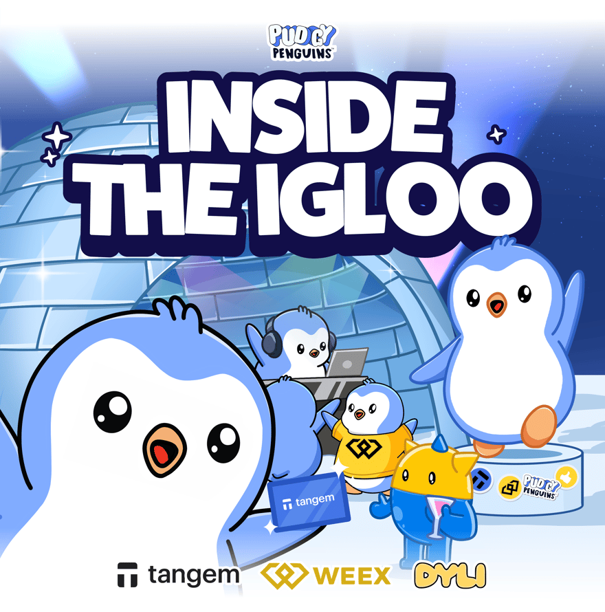 Inside the Igloo