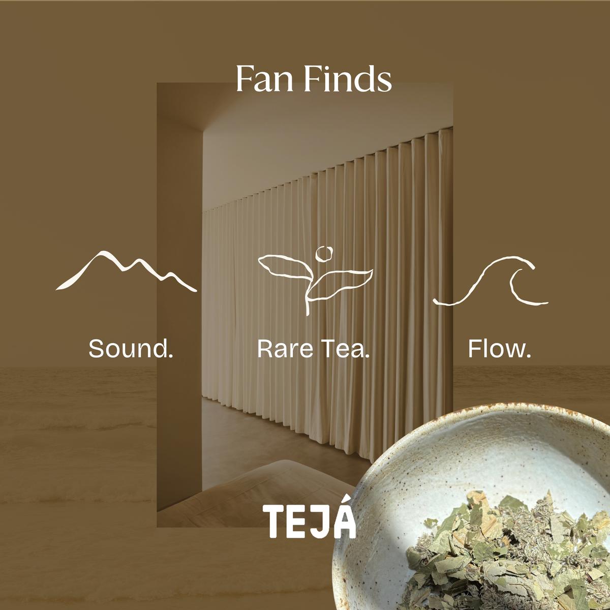 Tea room sound journey
