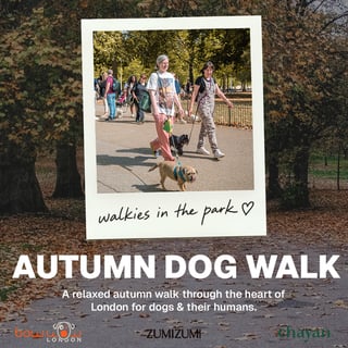 Bow Wow Autumn Dog Walk 🍂🐾