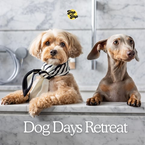 Dog Days Retreat