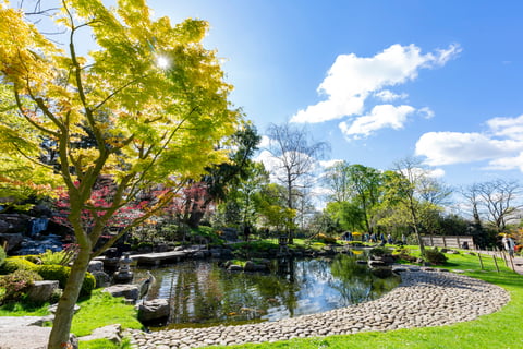 🌿 Bank Holiday Picnic at Holland Park + Design Museum Visit