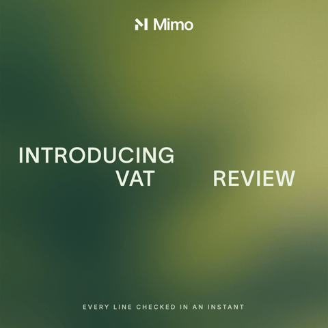 Mimo Demo: VAT Review done in minutes