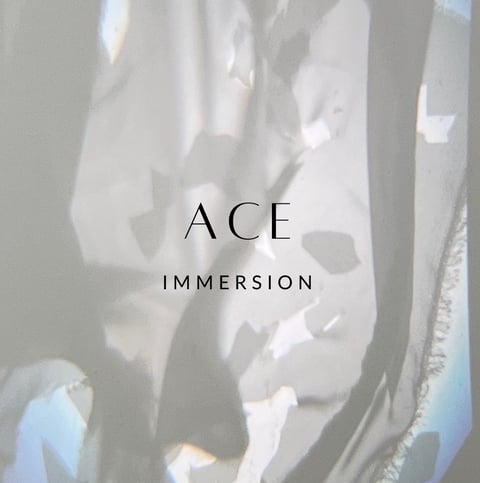 ACE IMMERSION EXHIBITION