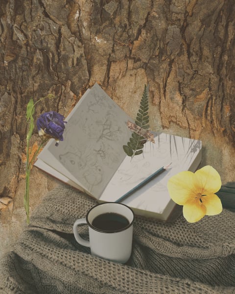 Sit & Sketch - Offline in Nature