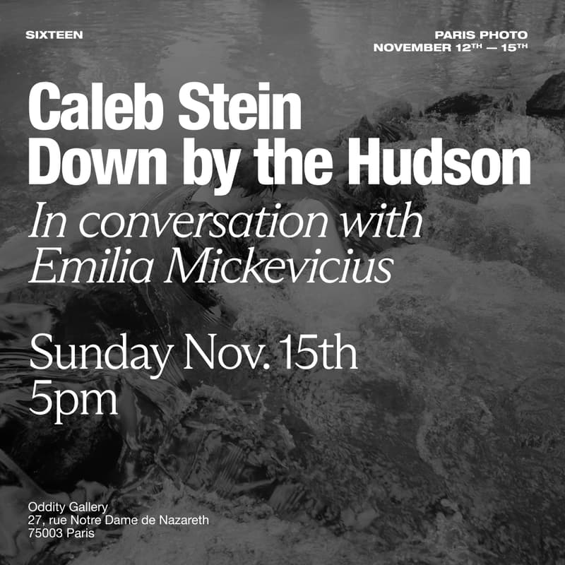 Caleb Stein, Down by the Hudson Exhibition