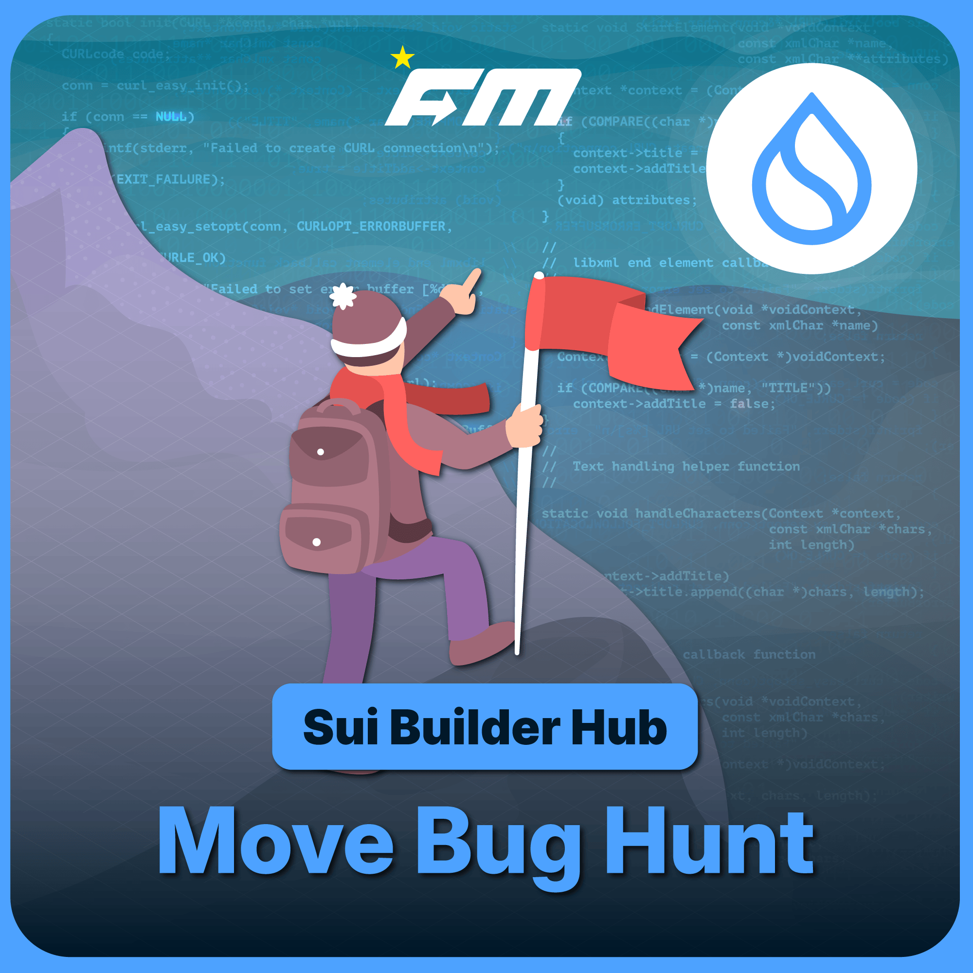 Sui Builder Hub: Move Bug Hunt