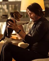 Fur-iday Night Flicks: John Wick