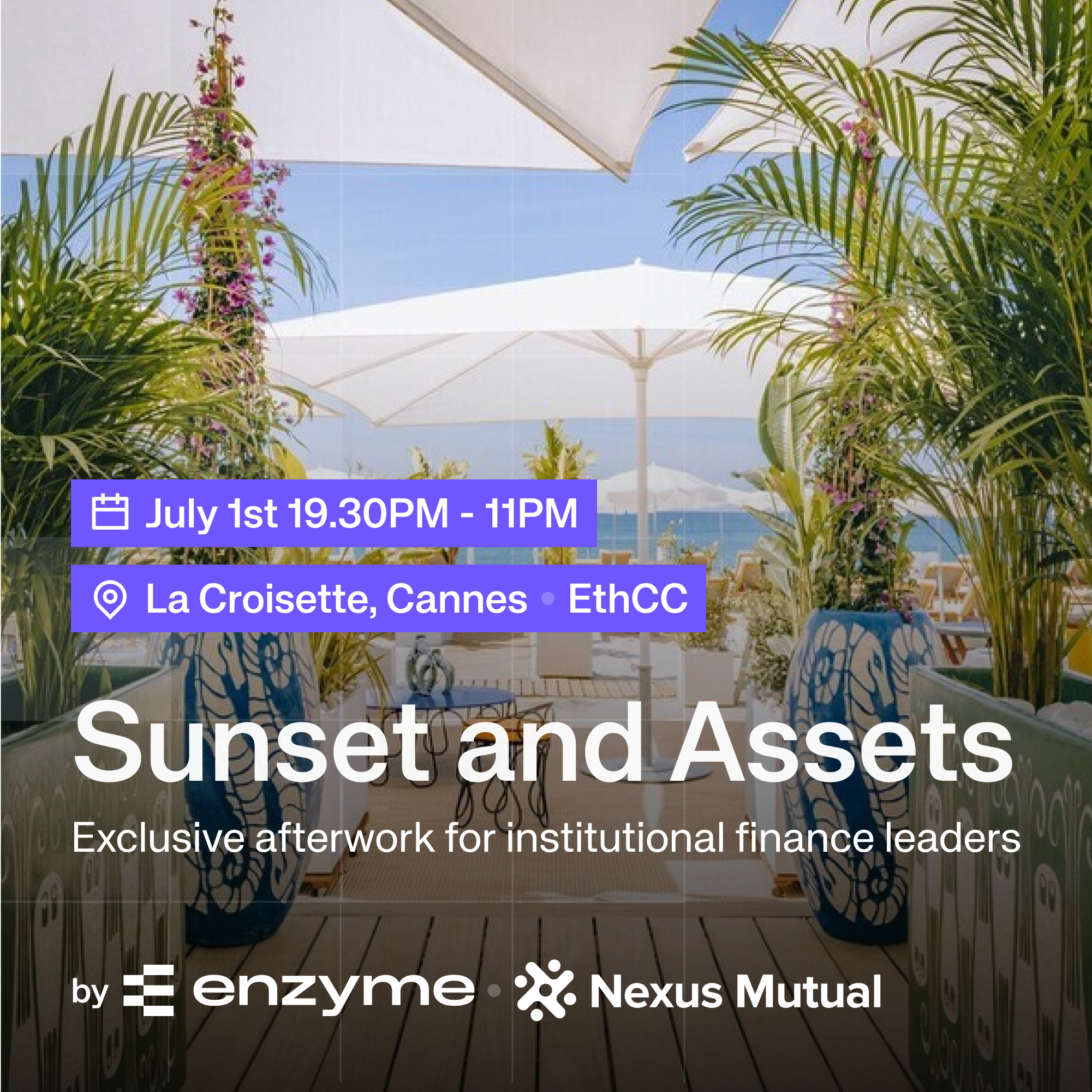 Crypto Nomads | Sunset & Assets