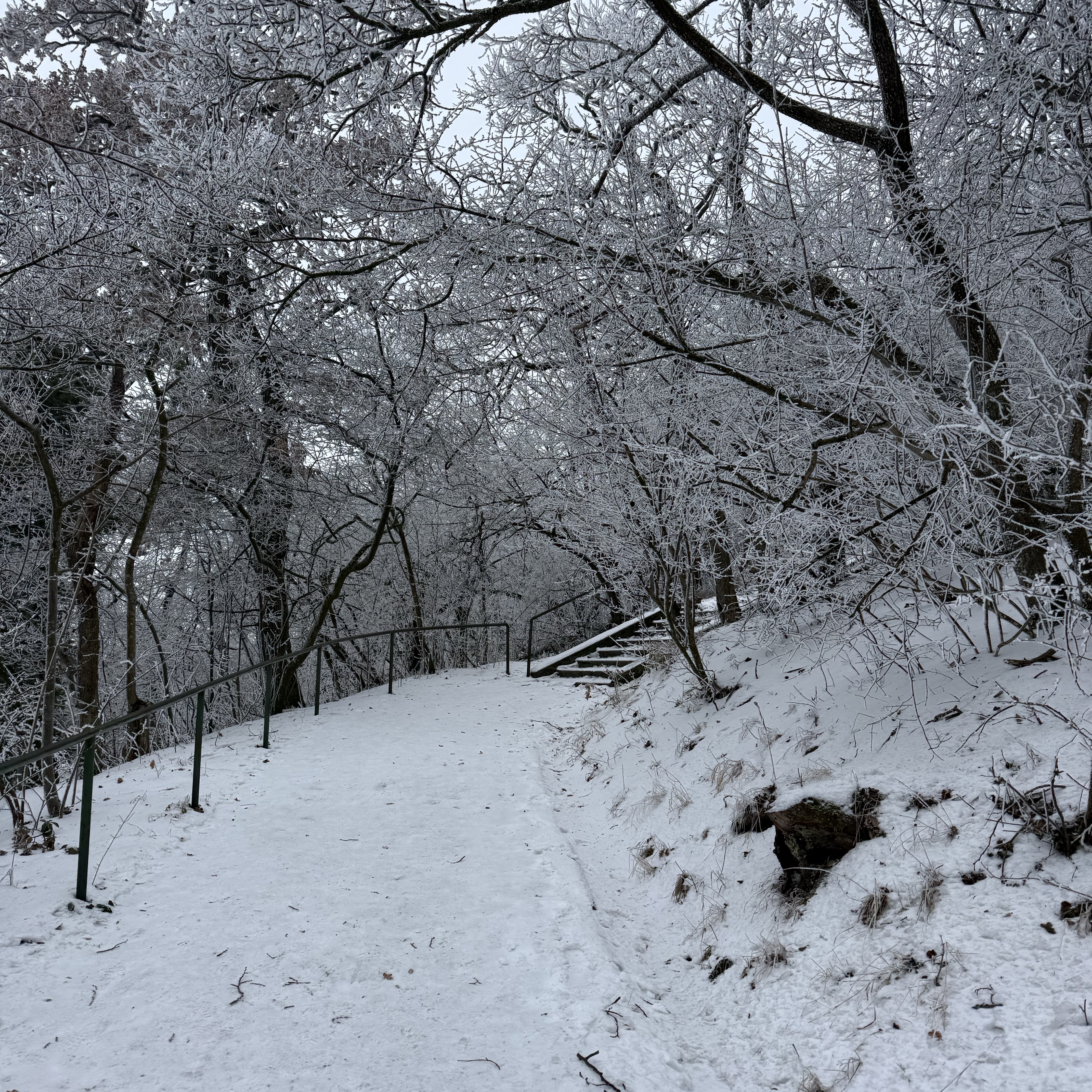 Stadtwanderweg 4a - Ottakring
