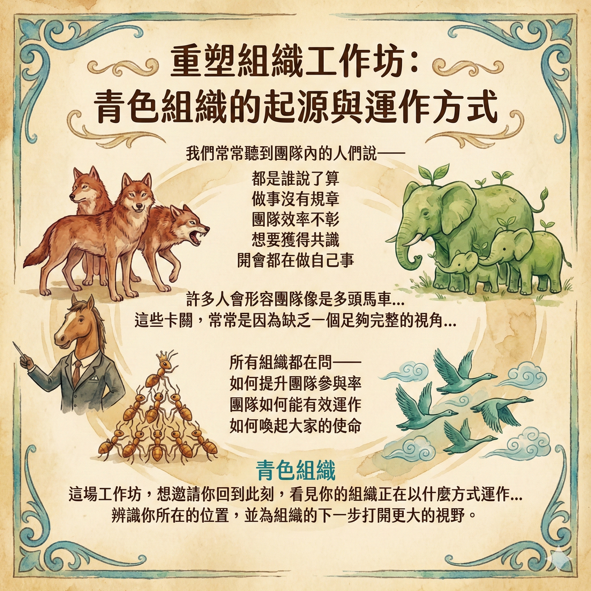 重塑組織工作坊:青色組織的起源與運作方式