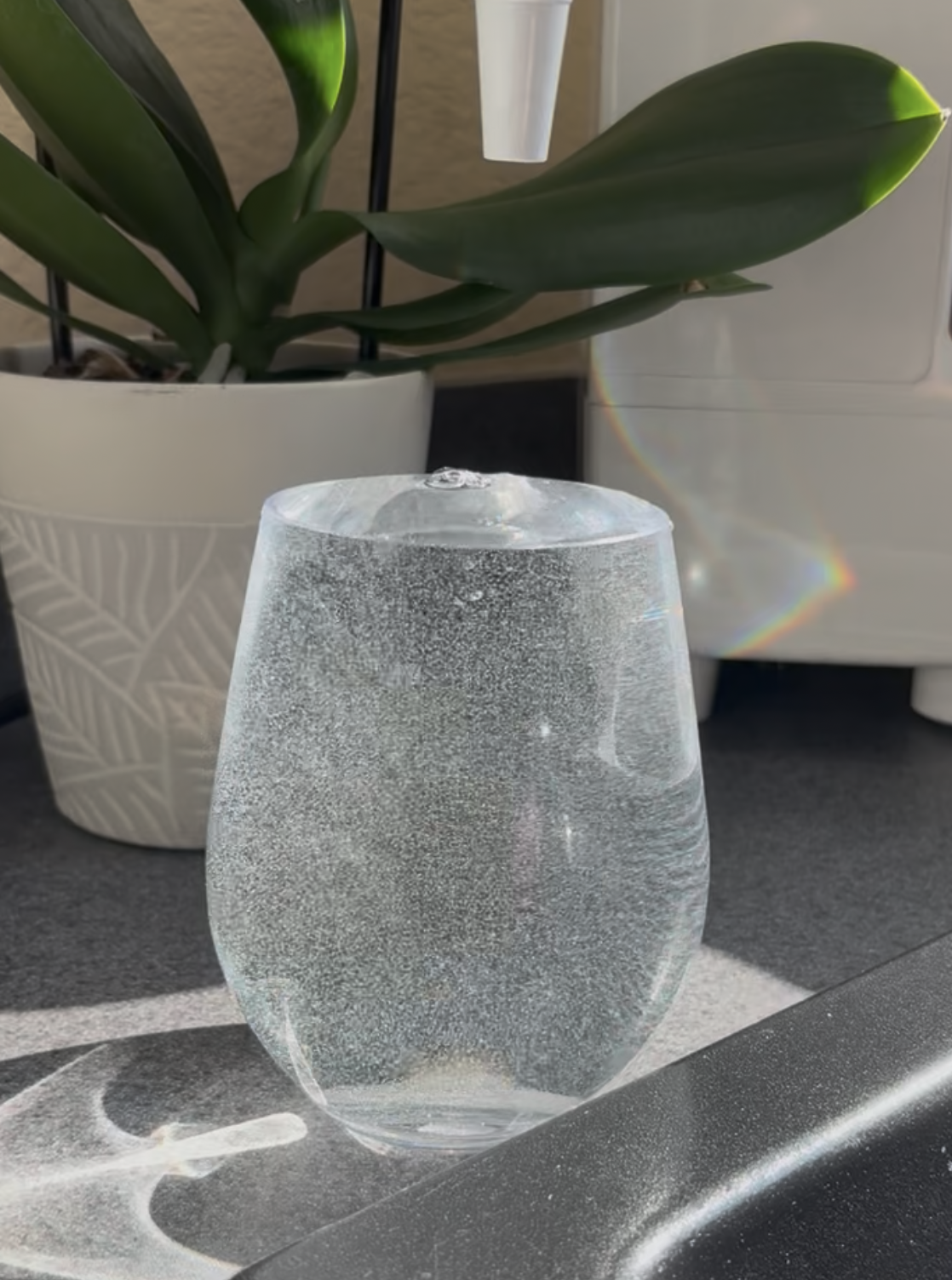 Healthy Aging, Hydration & Inflammation Relief for Active Living Party